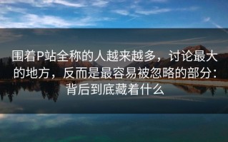 围着P站全称的人越来越多，讨论最大的地方，反而是最容易被忽略的部分：背后到底藏着什么