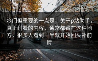 冷门但重要的一点是，关于p站助手，真正耐看的内容，通常都藏在这种地方，很多人看到一半就开始回头补前情
