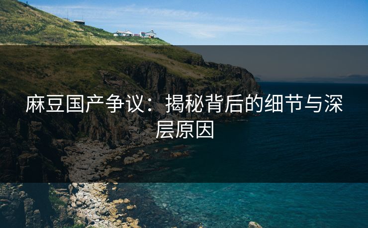 麻豆国产争议：揭秘背后的细节与深层原因-第1张图片-p站镜像热点页 - p站影视站